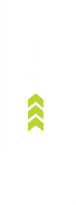 Year Image
